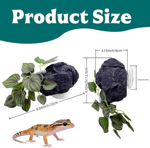 Reptile Water Dish with Dripper, Adjustable Wall-Mounted Water Bowl for Terrarium Humidity Control - Natural Rock Decor Feeding & Watering Dish for Gecko, Lizard, Snake, Frog & Small Reptiles in Kuwait