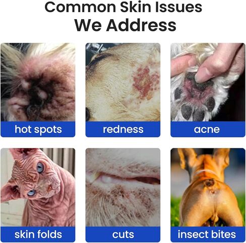 2% Chlorhexidine Wipes for Dogs & Cats Pet Skin Care in Kuwait
