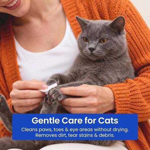2% Chlorhexidine Wipes for Dogs & Cats Pet Skin Care in Kuwait