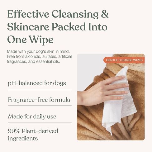 Dandylion Dog Wipes, Gentle Cleanse, Micellar Water Formula, 90 Count in Kuwait