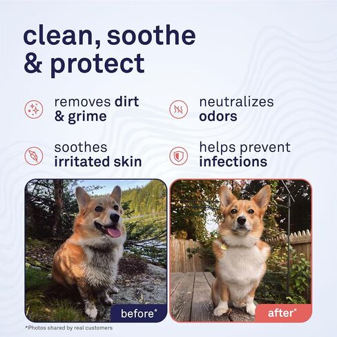 Petpost Large Grooming Wipes for Dogs | 70 Count 5x7" Deodorizing Dog Cleaning Wipes with Coconut Extract & Aloe | Gentle Pet Wipes with Cherry Blossom Scent for Full-Body Grooming in Kuwait