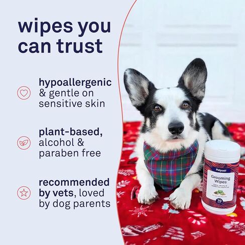 Petpost Large Grooming Wipes for Dogs | 70 Count 5x7" Deodorizing Dog Cleaning Wipes with Coconut Extract & Aloe | Gentle Pet Wipes with Cherry Blossom Scent for Full-Body Grooming in Kuwait