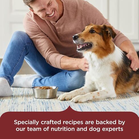 Nutrish Dry Dog Food, Beef, Pea & Brown Rice, 13 lb. Bag (Rachael Ray) in Saudi Arabia
