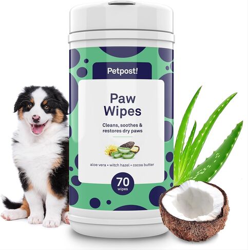 Petpost Large Grooming Wipes for Dogs | 70 Count 5x7" Deodorizing Dog Cleaning Wipes with Coconut Extract & Aloe | Gentle Pet Wipes with Cherry Blossom Scent for Full-Body Grooming in Kuwait