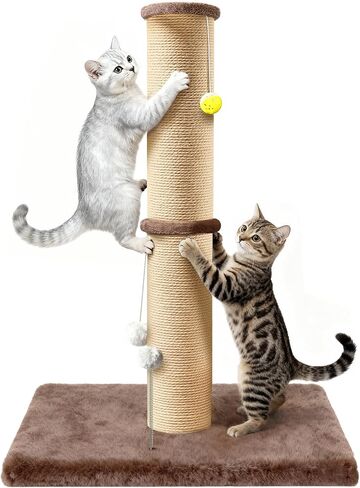 36'' Tall Cat Scratching Post for Indoor Cats with Sisal Post & Plush Toys in Saudi Arabia