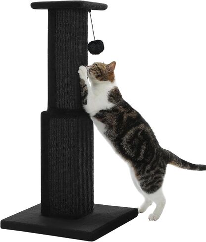 PAWZ Road Large Cat Scratching Post 32" Tall Black Cat Scratcher in Kuwait
