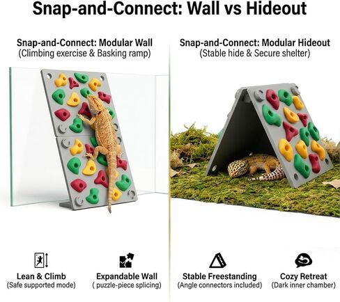 TIMSO Modular Reptile Climbing Wall & Hideout in Saudi Arabia
