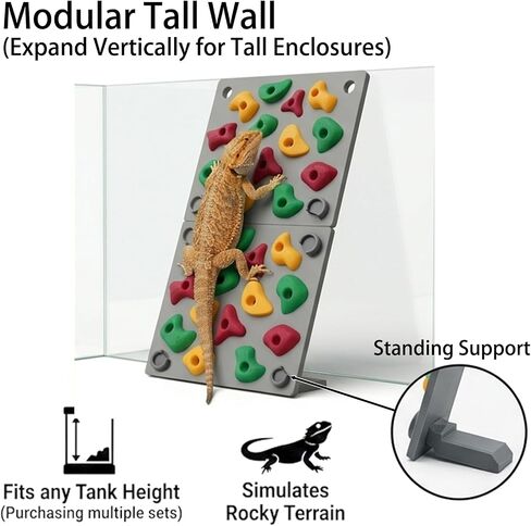 TIMSO Modular Reptile Climbing Wall & Hideout in Saudi Arabia