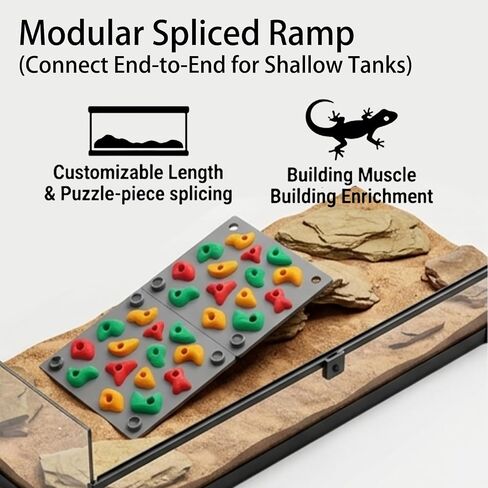 TIMSO Modular Reptile Climbing Wall & Hideout in Saudi Arabia