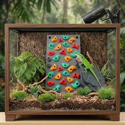 TIMSO Modular Reptile Climbing Wall & Hideout in Saudi Arabia