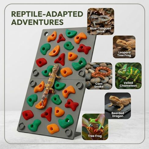 TIMSO Modular Reptile Climbing Wall & Hideout in Saudi Arabia