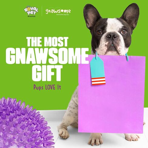 Gnawsome™ 4.5" Spiky Squeaker Ball Dog Toy - Extra Large, Cleans Teeth and Promotes Good Dental and Gum Health for Your Pet, Colors will vary, 4.5" in Kuwait