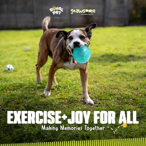 Gnawsome™ 4.5" Spiky Squeaker Ball Dog Toy - Extra Large, Cleans Teeth and Promotes Good Dental and Gum Health for Your Pet, Colors will vary, 4.5" in Kuwait