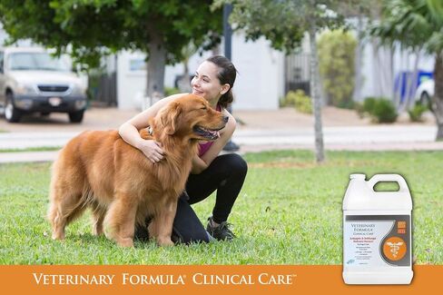 Veterinary Formula Clinical Care Antiseptic and Antifungal Medicated Shampoo for Dogs & Cats, 128 Fl Oz – Helps Alleviate Scaly, Greasy, red Skin – Paraben, Dye, Soap-Free (1 Pack) in Kuwait