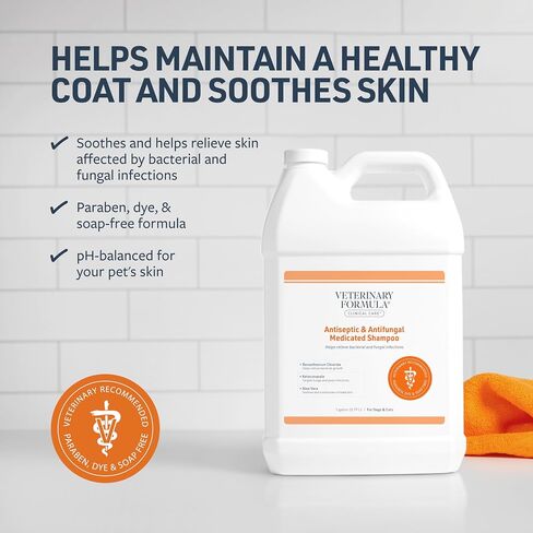 Veterinary Formula Clinical Care Antiseptic and Antifungal Medicated Shampoo for Dogs & Cats, 128 Fl Oz – Helps Alleviate Scaly, Greasy, red Skin – Paraben, Dye, Soap-Free (1 Pack) in Kuwait
