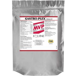 MVP Gastro-Plex - Supports Gut Health and Hindgut Digestion in Horses in Kuwait