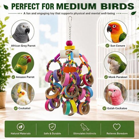 Bird Toys for Medium Parrot Colorful Shredding Toys with 24 Chewy Rings in Saudi Arabia