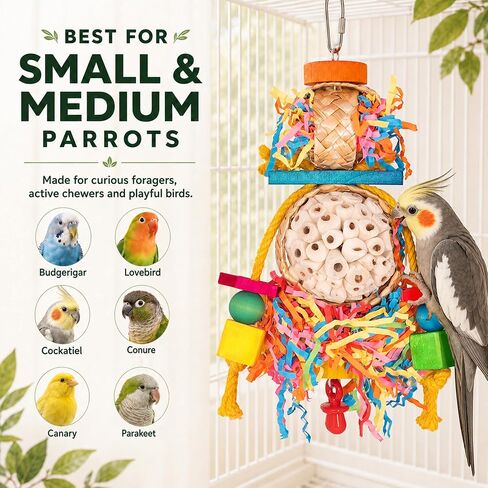 2PCS Bird Toys, Sola Balls for Birds with Shredding Paper for Parakeet in Saudi Arabia