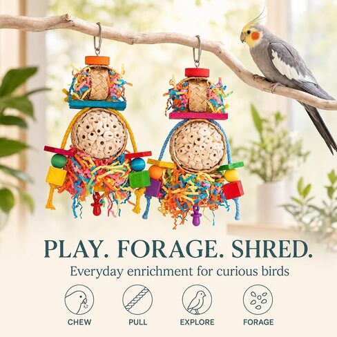 2PCS Bird Toys, Sola Balls for Birds with Shredding Paper for Parakeet in Saudi Arabia