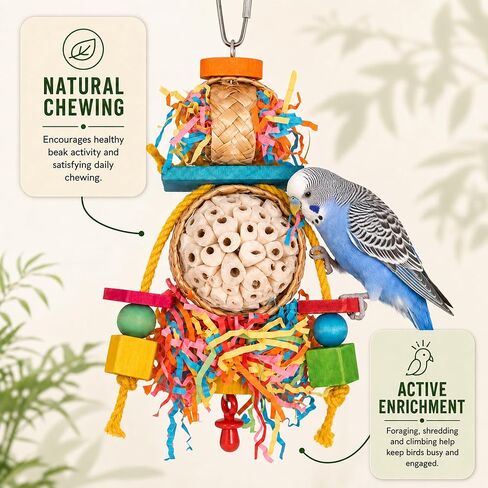 2PCS Bird Toys, Sola Balls for Birds with Shredding Paper for Parakeet in Saudi Arabia