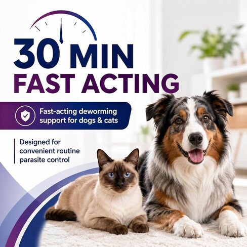 7 Way Dewormer for Cats & Dogs, Praziquantel & Pyrantel Pamoate Tablets in Kuwait