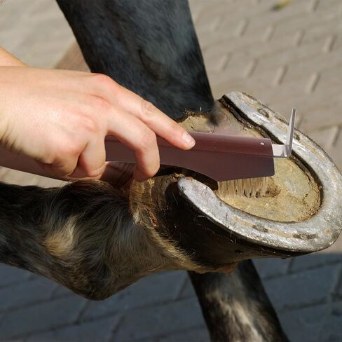 Horse Hoof Pick with Brush, Wooden Handle Multi-function Cleaning Tool in Kuwait