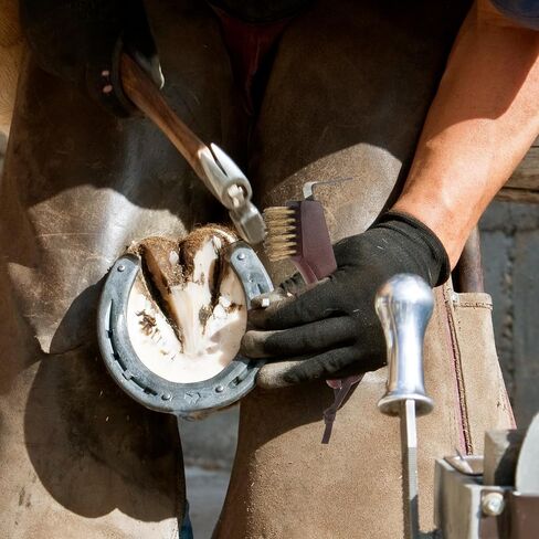 Horse Hoof Pick with Brush, Wooden Handle Multi-function Cleaning Tool in Kuwait