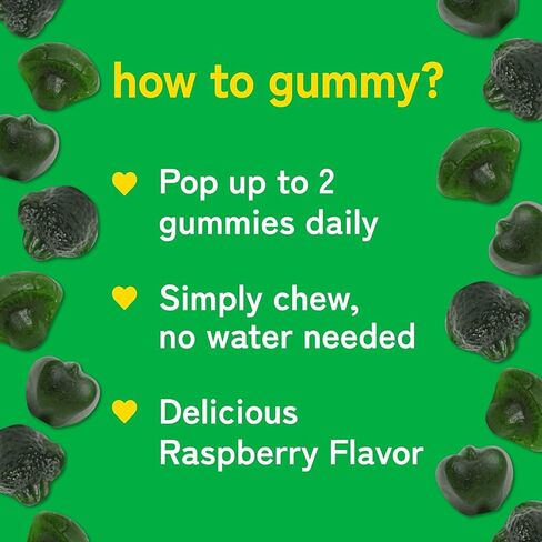 Kwala Nutrition Daily Super Greens Gummies to Boost Energy - 8 Blends with Veggies, Lions Mane Mushroom, Spirulina and Ashwagandha - Vegetable Supplements - Vegan, Non-GMO - Raspberry Flavor in Kuwait