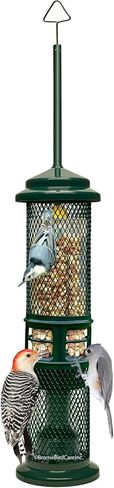 Squirrel Buster Nut Truly Squirrel-Proof Bird Feeder in Kuwait