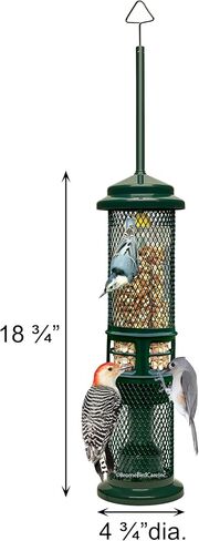 Squirrel Buster Nut Truly Squirrel-Proof Bird Feeder in Kuwait