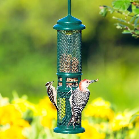 Squirrel Buster Nut Truly Squirrel-Proof Bird Feeder in Kuwait