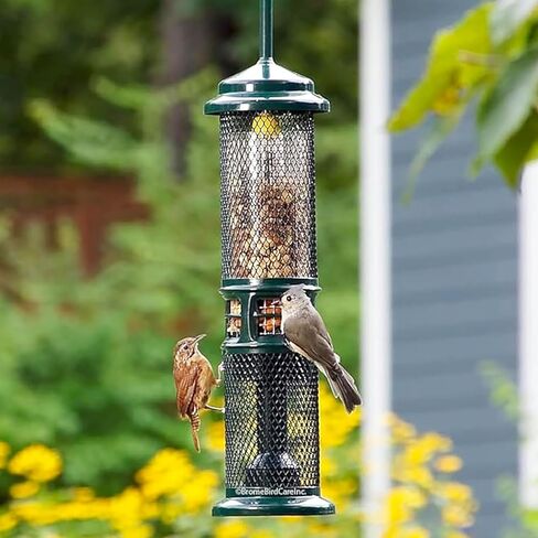 Squirrel Buster Nut Truly Squirrel-Proof Bird Feeder in Kuwait