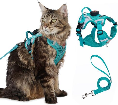 Skmeditec Cat Harness and Leash Set: Upgraded Escape Proof Vest with Lead for Large Cat Small Dog Puppy Walking, Soft Jacket Reflective Strips, Black (M) in Kuwait