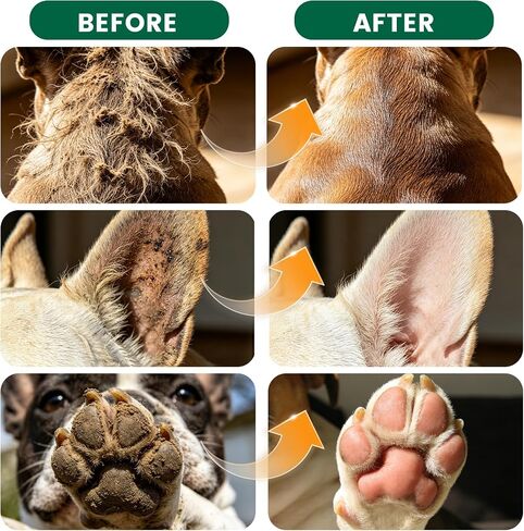 Arme Pet Bath Gloves Wipes for Dogs&Cats Cleaning Glove for Dry Bath,40 Pcs in Kuwait
