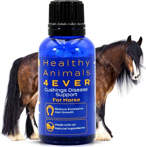 HA4E - Horse Digestive Support for Cushing’s Disease - Preventative Care - Highly Effective, Natural Homeopathic Supplement - 300 Tablets in Saudi Arabia