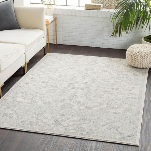 Livabliss Odelia Vintage Bohemian Area Rug,2' x 3',Beige in Kuwait