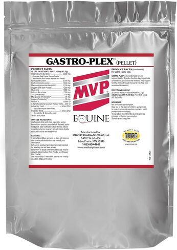 MVP Gastro-Plex - Supports Gut Health and Hindgut Digestion in Horses in Kuwait