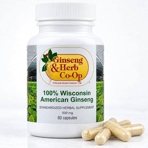 100% Pure Wisconsin American Ginseng Capsules - 500mg. Authentic Panax Quinquefolius. Potent Ground Ginseng Root - No Fillers, Binders or Other Additives. in Kuwait