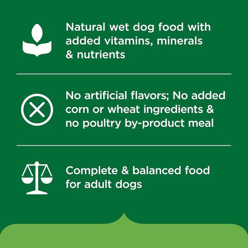 Nutrish Chicken Wet Dog Food Chunks in Gravy, 13 oz. Pack 12 (Rachael Ray) in Kuwait