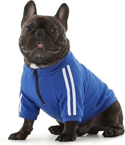 PUMYPOREITY Bulldog Sweatshirt for Broad-Chested Dogs, Red, L in Saudi Arabia