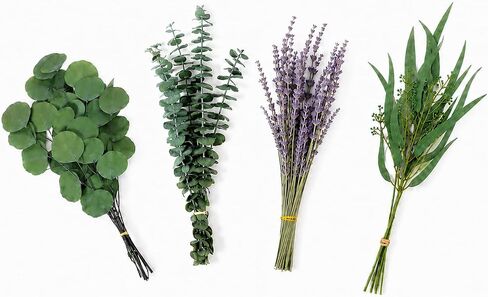 Preserved Dried Eucalyptus Stems Bundle - 12 PCS Blue Eucalyptus for Shower, 17" 100% Natural Eucalyptus Bundle Real Greenery Fresh Leaves Plants, Aromatherapy SPA, Wedding Arrangements, Home Decor in Kuwait