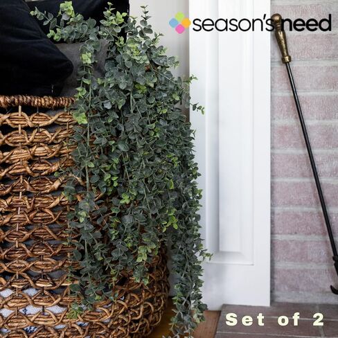 Artificial Hanging Plants – 30" Long Eucalyptus Greenery Bush, Fake Plant for Office Home Décor Indoor Outdoor, Wall Accent - Set of 2 (Frosted Green) in Kuwait