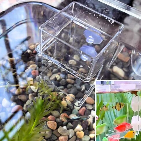 2 PCS Square Fish Feeder with Suction Cup Fish Tank Feed Tray Feeding Tube Supplies Breeder Box for Aquarium in Saudi Arabia