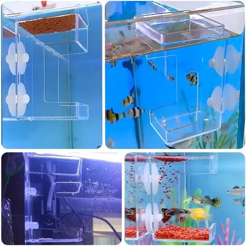 2 PCS Square Fish Feeder with Suction Cup Fish Tank Feed Tray Feeding Tube Supplies Breeder Box for Aquarium in Saudi Arabia