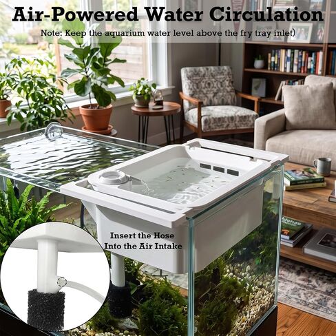 Aquarium Fry Breeder Tray,Air-Driven Water Flow Fish Breeder Box in Saudi Arabia