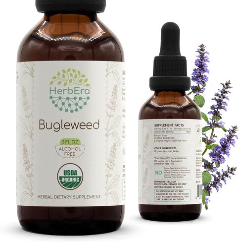 Bugleweed B60 USDA Organic Tincture | Alcohol-Free Extract, High-Potency Herbal Drops| Certified Organic Bugleweed (Ze LAN, Lycopus Virginicus) Dried Herb (2 fl oz) in Kuwait