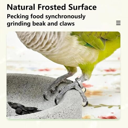 Bird Feeding Dish Small Parrot Food Bowl Birdcage Water Feeder in Kuwait