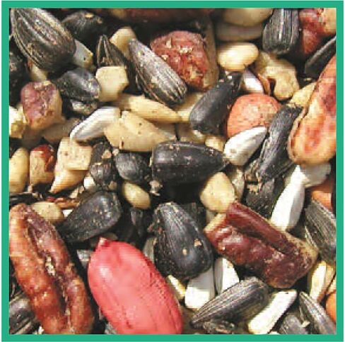 Cole's SF20 Special Feeder Bird Seed, 20-Pound in Kuwait