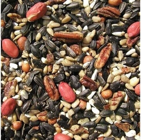 Cole's SF20 Special Feeder Bird Seed, 20-Pound in Kuwait