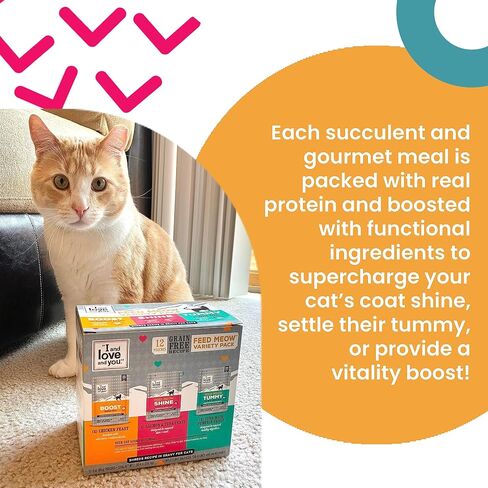 I AND LOVE AND YOU Feed Meow Tummy Wet Cat Food - Tuna + Pumpkin - Digestion Support, Grain Free, Shredded, 3oz Pack of 12 in Kuwait